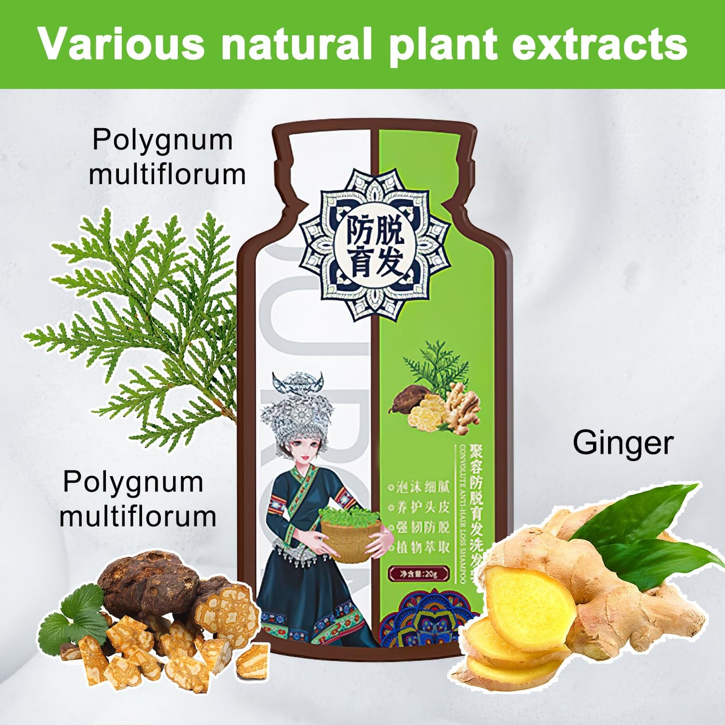 Ginger Plant Extract Hair Shampoo - Anti-Hair Loss, Nourishing Formula for Stronger, Thicker Hair for Women and Men (2 Boxes)