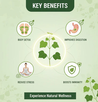 Herbal Giloy Patches 🌿✨ (Buy 1 Get 1 Free🔥🔥)