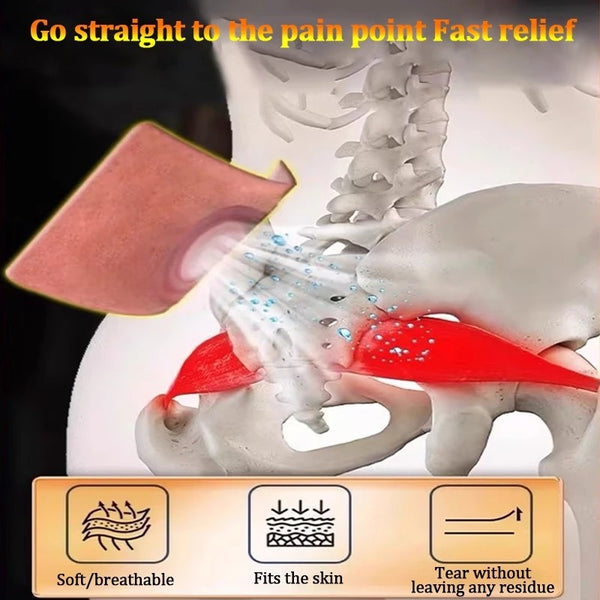 Japan Sciatica Pain Relief Patch – Pack of 20pcs ( BUY 10 GET 10 FREE )